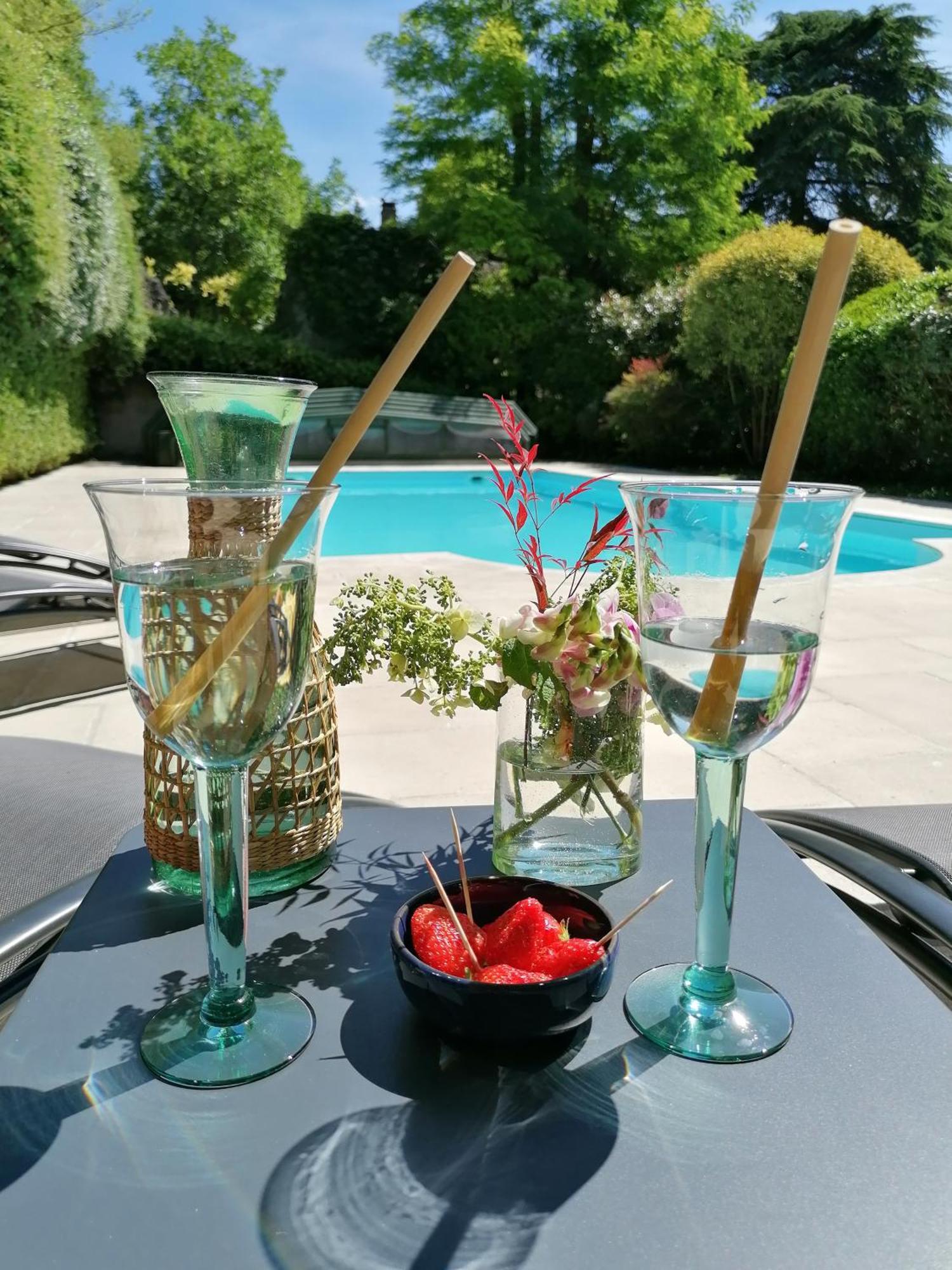 Le Moulin Du Mesnil Bed & Breakfast Saint Georges sur Cher Bagian luar foto