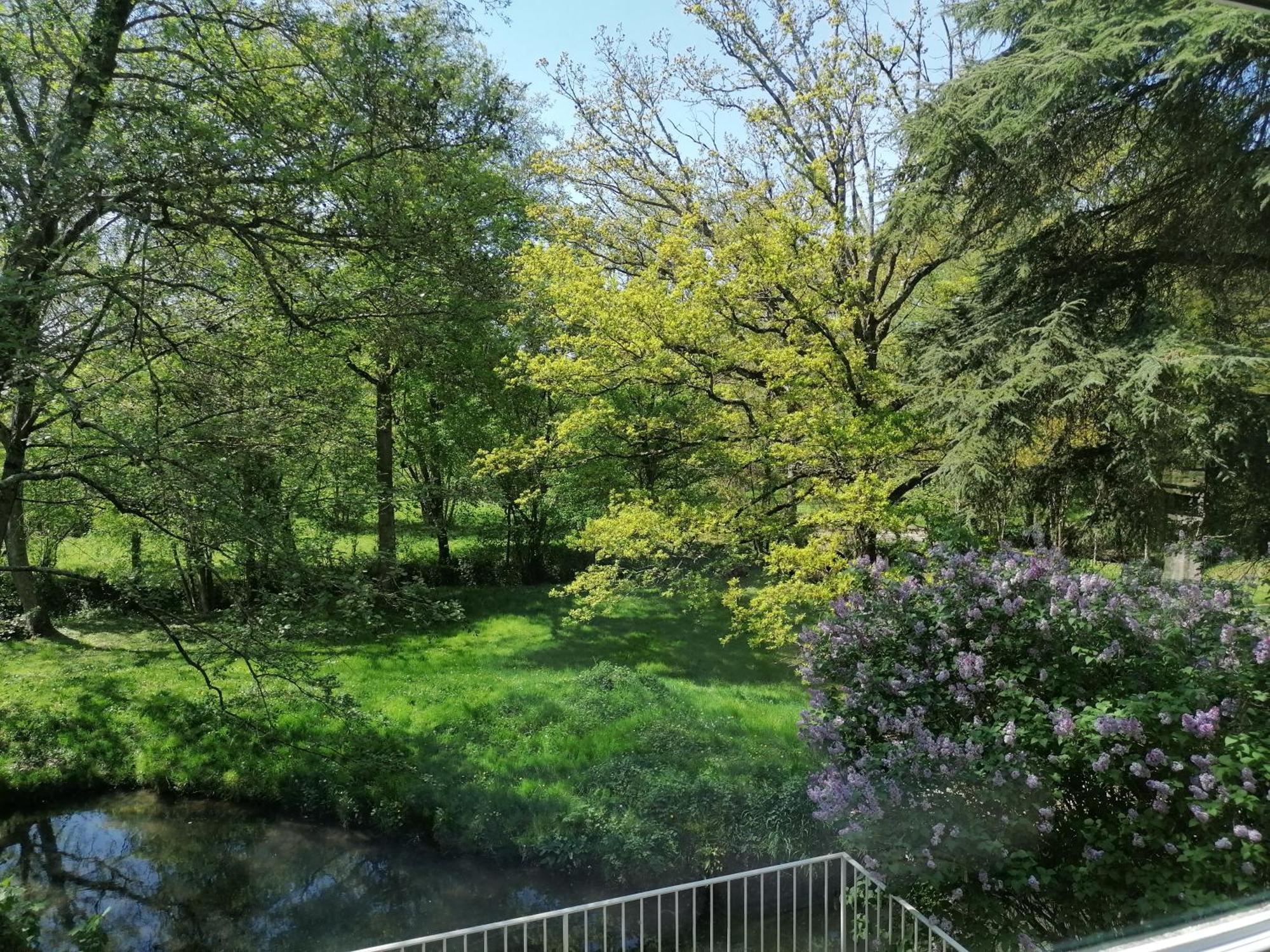 Le Moulin Du Mesnil Bed & Breakfast Saint Georges sur Cher Bagian luar foto